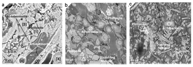 SEM-Backscattered Al-tobermorite (BSE)图像和沸石在浮石碎屑