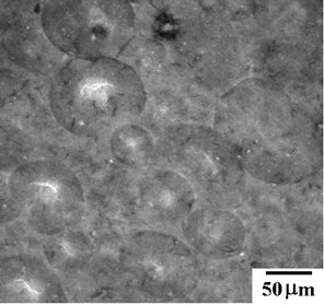 AZoJomo - AZO Journal of Mate亚博网站下载rials Online - Structure of alumina green compact with CLSFM