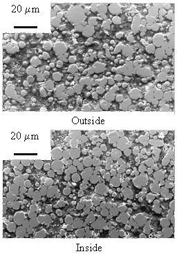 AZoJomo - AZO材料在线杂志- Ni-20Cr(亚博网站下载5µm)体的横截面图，由PECS与LD模具在700℃模具温度下烧结5min